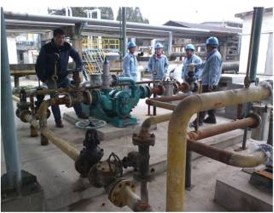 羅德轉(zhuǎn)子泵 羅德轉(zhuǎn)子泵