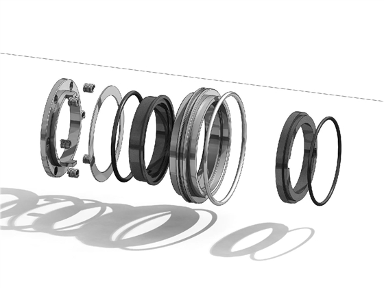 轉(zhuǎn)子泵機械密封 轉(zhuǎn)子泵機械密封