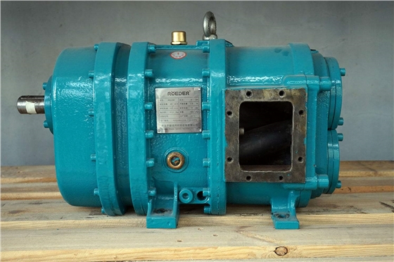 轉(zhuǎn)子泵 轉(zhuǎn)子泵