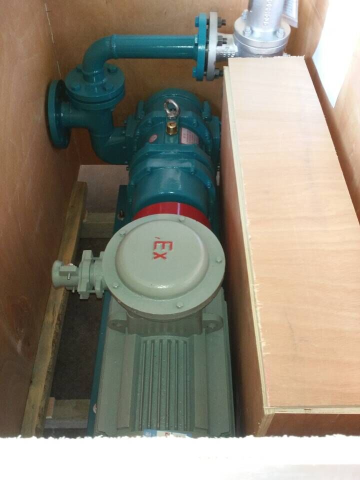 排污轉(zhuǎn)子泵封箱前檢驗(yàn) 排污轉(zhuǎn)子泵封箱前檢驗(yàn)