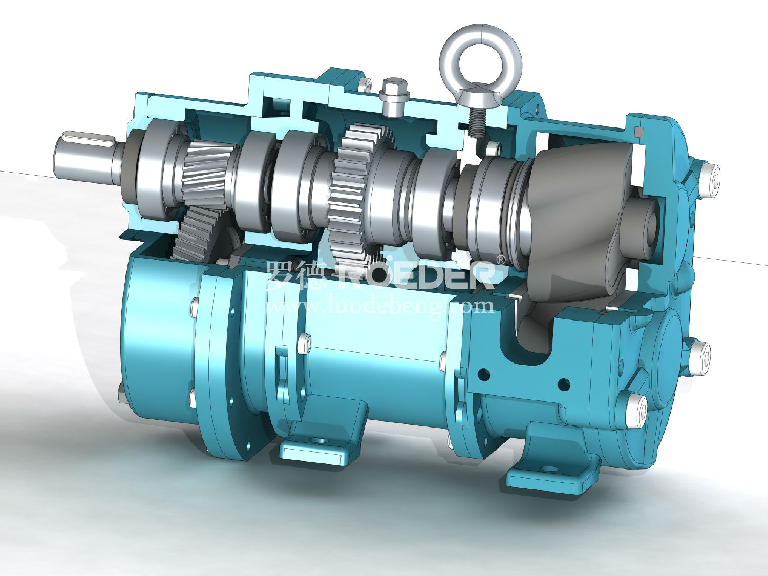 轉(zhuǎn)子泵 轉(zhuǎn)子泵