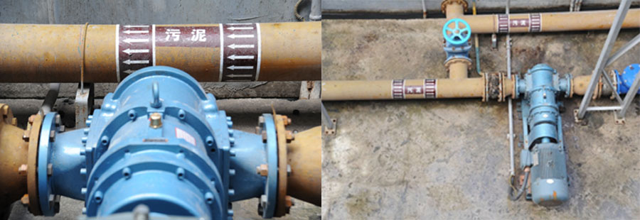 中山市珍加山RDC50污泥輸送轉(zhuǎn)子泵 中山市珍加山RDC50污泥輸送轉(zhuǎn)子泵