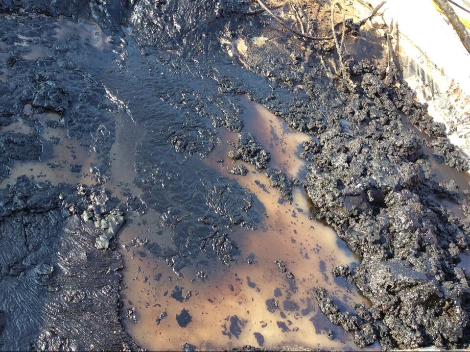 凸輪轉(zhuǎn)<a href='http://m.k027.cn' class='keys' title='點(diǎn)擊查看關(guān)于轉(zhuǎn)子泵的相關(guān)信息' target='_blank'>轉(zhuǎn)子泵</a>耐磨損耐腐蝕可以輸送含油污水等復(fù)雜成分介質(zhì)