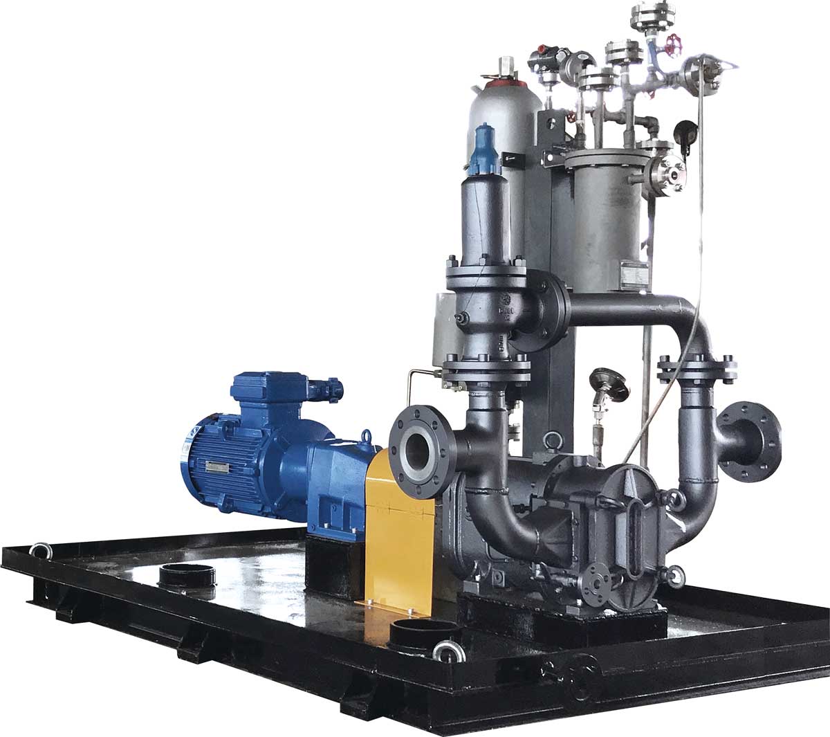 帶機封沖洗的轉(zhuǎn)子泵系統(tǒng) 帶機封沖洗的轉(zhuǎn)子泵系統(tǒng)