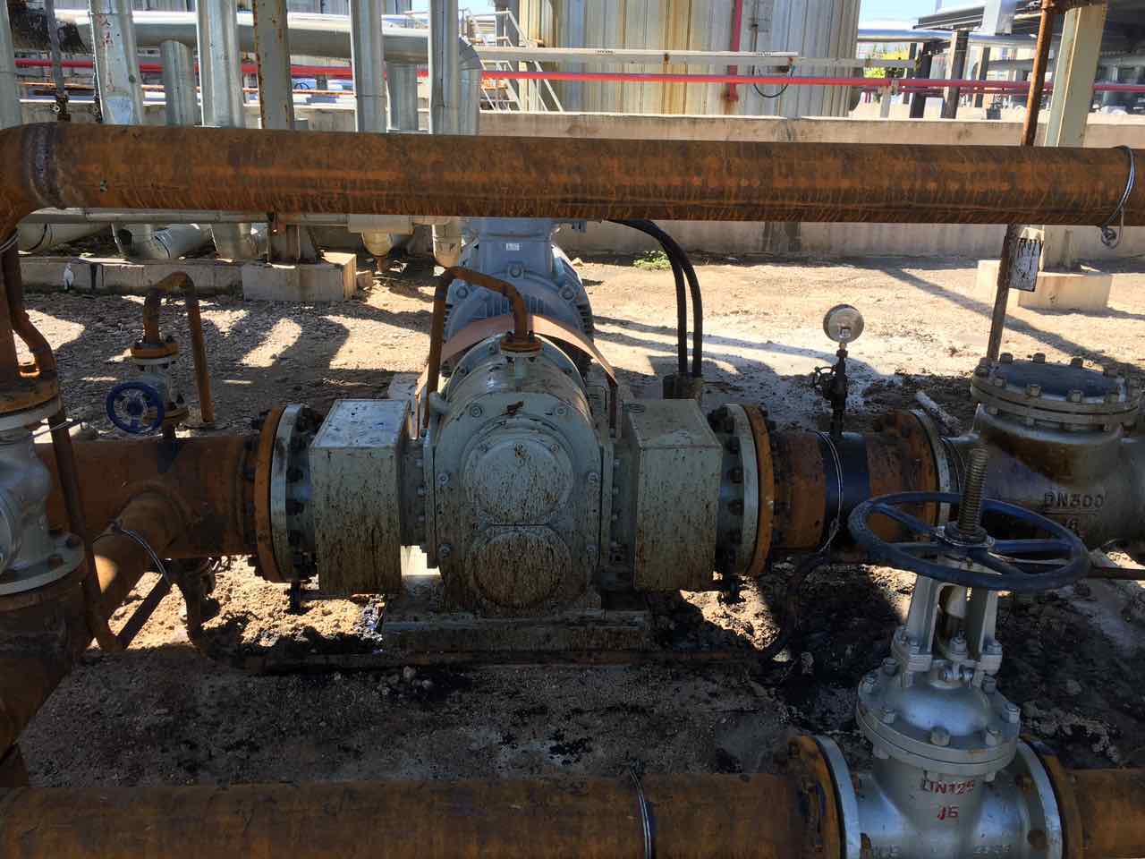 超稠原油輸送泵 超稠原油輸送泵