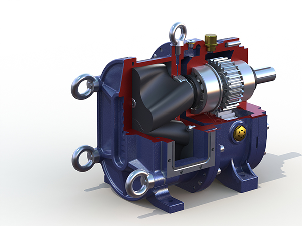 膜處理行業(yè)非要用進(jìn)口的轉(zhuǎn)子泵？